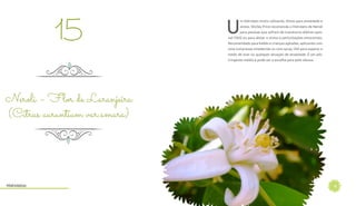 18
U
m Hidrolato muito calmante, ótimo para ansiedade e
stress. Shirley Price recomenda o Hidrolato de Neroli
para pessoas que sofrem de transtorno afetivo sazo-
nal (TAS) ou para aliviar o stress e perturbações emocionais.
Recomendado para bebês e crianças agitadas, aplicando com
uma compressa umedecida ou com spray. Útil para superar o
medo de voar ou qualquer situação de ansiedade. É um ads-
tringente médio e pode ser a escolha para pele oleosa.
Neroli – Flor de Laranjeira
(Citrus aurantium var.amara)
15
Hidrolatos
 