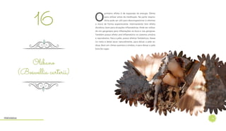 19
O
primeiro efeito é de expansão da energia. Ótimo
para utilizar antes da meditação. Na parte respira-
tória pode ser útil para descongestionar e eliminar
o muco de forma expectorante. Internamente tem efeito
diurético, bom para situações inflamatórias. Pode ser utiliza-
do em gargarejos para inflamações na boca e nas gengivas.
Também possui efeito anti-inflamatório no sistema urinário
e reprodutivo. Para a pele, possui efeitos fantásticos. Passe
no rosto e deixe secar naturalmente, para deixar a pele se-
dosa. Bom em climas quentes e úmidos, e para deixar a pele
livre de rugas.
Olíbano
(Boswellia carterii)
16
Hidrolatos
 