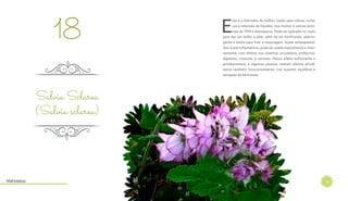 21
E
ste é o Hidrolato da mulher, usado para cólicas, incha-
ços e retenção de líquidos, mau humor e outros sinto-
mas da TPM e menopausa. Pode ser aplicado no rosto
para dar um brilho a pele, além de ser tonificante, adstrin-
gente e ótimo para tirar a maquiagem. Suave antiespasmó-
dico e anti-inflamatório, pode ser usado topicamente e inter-
namente, com efeitos nos sistemas circulatório, endócrino,
digestivo, muscular e nervoso. Possui efeito euforizante e
antidepressivo, e algumas pessoas relatam efeitos afrodi-
síacos também. Emocionalmente, traz suporte, equilíbrio e
sensação de bem-estar.
18
Salvia Sclarea
(Salvia sclarea)
Hidrolatos
 