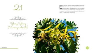 24
E
ste Hidrolato de aroma floral é uma versão mais suave
do Óleo Essencial. Considerado calmante e emocional-
mente edificante, faz uma base única em formulações
direcionadas para a hora de dormir. No cuidado da pele é va-
lorizado por seus efeitos tônicos, equilibrando a pele seca ou
oleosa. É um afrodisíaco reconhecido.
21
Ylang Ylang
(Cananga odorata)
Hidrolatos
 