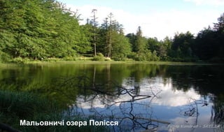 Мальовничі озера Полісся
 