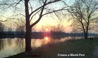 Ставок в Малій Рачі
 