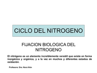 CICLO DEL NITROGENO
FIJACION BIOLOGICA DEL
NITROGENO
El nitrógeno es un elemento increíblemente versátil que existe en forma
inorgánica y orgánica, y a la vez en muchos y diferentes estados de
oxidación.
Profesora: Dra. Nora Iñón
 