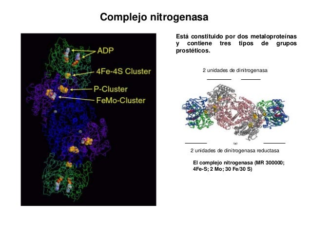 Advertencia: metabolismo lento causas