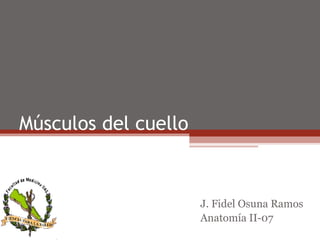 Músculos del cuello


                      J. Fidel Osuna Ramos
                      Anatomía II-07
 