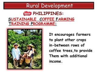 PHILIPPINES:
SUSTAINABLE COFFEE FARMING
TRAINING PROGRAMME:

                It encourages farmers
                to plant other crops
                in-between rows of
                coffee trees,to provide
                Them with additional
                income.
 