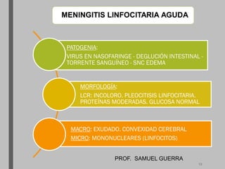 MENINGITIS LINFOCITARIA AGUDA
PATOGENIA:
VIRUS EN NASOFARINGE - DEGLUCIÓN INTESTINAL -
TORRENTE SANGUÍNEO - SNC EDEMA
MORFOLOGÍA:
LCR: INCOLORO. PLEOCITISIS LINFOCITARIA.
PROTEÍNAS MODERADAS. GLUCOSA NORMAL
MACRO: EXUDADO. CONVEXIDAD CEREBRAL
MICRO: MONONUCLEARES (LINFOCITOS)
PROF. SAMUEL GUERRA
13
 