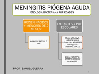 MENINGITIS PIÓGENA AGUDA
ETIOLOGÍA BACTERIANA POR EDADES
RECIEN NACIDOS
Y MENORES DE 2
MESES:
GRAM NEGATIVO: E.
coli
LACTANTES Y PRE
ESCOLARES
GRAM NEGATIVO:
HAEMOPHILUS
influenzae, NEISSERIA
meningitidis
(MENINGOCOCO)
GRAM POSITIVO:
STREPTOCOCCUS
neumoniae
PROF. SAMUEL GUERRA
6
 