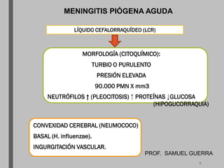 MENINGITIS PIÓGENA AGUDA
MORFOLOGÍA (CITOQUÍMICO):
TURBIO O PURULENTO
PRESIÓN ELEVADA
90.000 PMN X mm3
NEUTRÓFILOS ↑ (PLEOCITOSIS) ↑ PROTEÍNAS ↓GLUCOSA
(HIPOGUCORRAQUIA)
CONVEXIDAD CEREBRAL (NEUMOCOCO)
BASAL (H. influenzae).
INGURGITACIÓN VASCULAR.
LÍQUIDO CEFALORRAQUÍDEO (LCR)
PROF. SAMUEL GUERRA
8
 