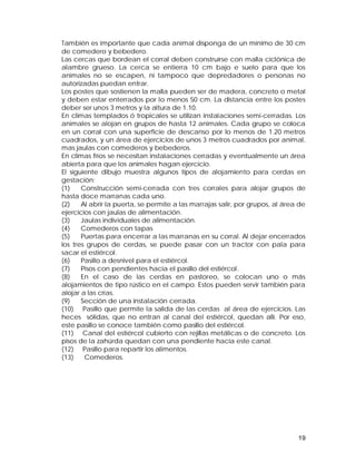 También es importante que cada animal disponga de un mínimo de 30 cm 
de comedero y bebedero. 
Las cercas que bordean el corral deben construirse con malla ciclónica de 
alambre grueso. La cerca se entierra 10 cm bajo e suelo para que los 
animales no se escapen, ni tampoco que depredadores o personas no 
autorizadas puedan entrar. 
Los postes que sostienen la malla pueden ser de madera, concreto o metal 
y deben estar enterrados por lo menos 50 cm. La distancia entre los postes 
deber ser unos 3 metros y la altura de 1.10. 
En climas templados ó tropicales se utilizan instalaciones semi-cerradas. Los 
animales se alojan en grupos de hasta 12 animales. Cada grupo se coloca 
en un corral con una superficie de descanso por lo menos de 1.20 metros 
cuadrados, y un área de ejercicios de unos 3 metros cuadrados por animal, 
mas jaulas con comederos y bebederos. 
En climas fríos se necesitan instalaciones cerradas y eventualmente un área 
abierta para que los animales hagan ejercicio. 
El siguiente dibujo muestra algunos tipos de alojamiento para cerdas en 
gestación: 
(1) Construcción semi-cerrada con tres corrales para alojar grupos de 
hasta doce marranas cada uno. 
(2) Al abrir la puerta, se permite a las marrajas salir, por grupos, al área de 
ejercicios con jaulas de alimentación. 
(3) Jaulas individuales de alimentación. 
(4) Comederos con tapas 
(5) Puertas para encerrar a las marranas en su corral. Al dejar encerrados 
los tres grupos de cerdas, se puede pasar con un tractor con pala para 
sacar el estiércol. 
(6) Pasillo a desnivel para el estiércol. 
(7) Pisos con pendientes hacia el pasillo del estiércol. 
(8) En el caso de las cerdas en pastoreo, se colocan uno o más 
alojamientos de tipo rústico en el campo. Estos pueden servir también para 
alojar a las crías. 
(9) Sección de una instalación cerrada. 
(10) Pasillo que permite la salida de las cerdas al área de ejercicios. Las 
heces sólidas, que no entran al canal del estiércol, quedan allí. Por eso, 
este pasillo se conoce también como pasillo del estiércol. 
(11) Canal del estiércol cubierto con rejillas metálicas o de concreto. Los 
pisos de la zahúrda quedan con una pendiente hacia este canal. 
(12) Pasillo para repartir los alimentos. 
(13) Comederos. 
19 
 