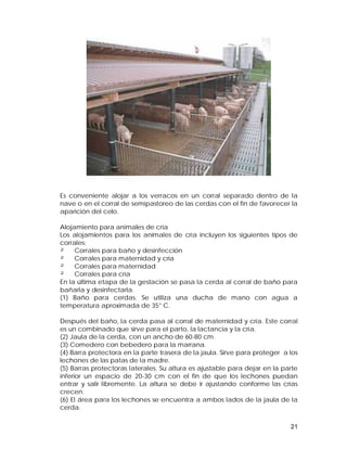 Es conveniente alojar a los verracos en un corral separado dentro de la 
nave o en el corral de semipastoreo de las cerdas con el fin de favorecer la 
aparición del celo. 
Alojamiento para animales de cría 
Los alojamientos para los animales de cría incluyen los siguientes tipos de 
corrales: 
² Corrales para baño y desinfección 
² Corrales para maternidad y cría 
² Corrales para maternidad 
² Corrales para cría 
En la última etapa de la gestación se pasa la cerda al corral de baño para 
bañarla y desinfectarla. 
(1) Baño para cerdas. Se utiliza una ducha de mano con agua a 
temperatura aproximada de 35° C. 
Después del baño, la cerda pasa al corral de maternidad y cría. Este corral 
es un combinado que sirve para el parto, la lactancia y la cría. 
(2) Jaula de la cerda, con un ancho de 60-80 cm. 
(3) Comedero con bebedero para la marrana. 
(4) Barra protectora en la parte trasera de la jaula. Sirve para proteger a los 
lechones de las patas de la madre. 
(5) Barras protectoras laterales. Su altura es ajustable para dejar en la parte 
inferior un espacio de 20-30 cm con el fin de que los lechones puedan 
entrar y salir libremente. La altura se debe ir ajustando conforme las crías 
crecen. 
(6) El área para los lechones se encuentra a ambos lados de la jaula de la 
cerda. 
21 
 