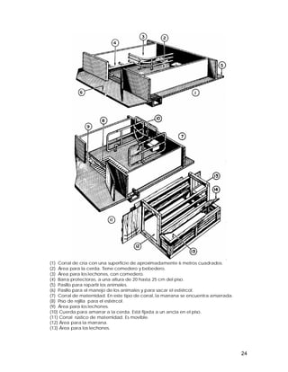 24 
(1) Corral de cría con una superficie de aproximadamente 6 metros cuadrados. 
(2) Área para la cerda. Tiene comedero y bebedero. 
(3) Área para los lechones, con comedero. 
(4) Barra protectoras, a una altura de 20 hasta 25 cm del piso. 
(5) Pasillo para repartir los animales. 
(6) Pasillo para el manejo de los animales y para sacar el estiércol. 
(7) Corral de maternidad. En este tipo de corral, la marrana se encuentra amarrada. 
(8) Piso de rejilla para el estiércol. 
(9) Área para los lechones. 
(10) Cuerda para amarrar a la cerda. Está fijada a un ancla en el piso. 
(11) Corral rústico de maternidad. Es movible. 
(12) Área para la marrana. 
(13) Área para los lechones. 
 