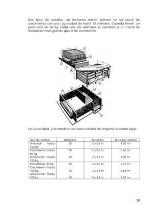 Dos tipos de corrales. Los lechones entran primero en un corral de 
crecimiento con una capacidad de hasta 10 animales. Cuando tienen un 
peso vivo de 60 kg cada uno, los animales se cambian a un corral de 
finalización más grande que el de crecimiento. 
La capacidad y las medidas de estos corrales de engorda es como sigue: 
26 
Tipo de animal Animales Medidas Área por animal 
Universal hasta 
10 3 x 3.3 m 1.00 m2 
100 kg 
Crecimiento hasta 
60 kg 
Finalización hasta 
100 kg 
10 
10 
3 x 2.0 m 
3 x 3.3 m 
0.60 m2 
1.00 m2 
Inicial hasta 40 kg 
Crecimiento hasta 
100 kg 
Finalización hasta 
100 kg 
20 
10 
10 
3 x 3.0 m 
3 x 3.3 m 
3 x 3.3 m 
0.45 m2 
0.66 m2 
1.00 m2 
 