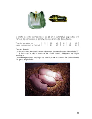 El ancho de estos comederos es de 35 cm y su longitud dependerá del 
número de animales en el corral y del peso promedio de cada uno. 
Peso del animal en kg 20 40 60 80 100 120 
Largo comedero en cm/animal 17 21 25 30 33 35 
Fuentes de calor 
Los lechones recién nacidos necesitan una temperatura ambiental de 35° 
C. A menudo se debe calentar el corral usando lámparas de rayos 
infrarrojos. 
Cuando la granja no disponga de electricidad, se puede usar calentadores 
de gas o de petróleo. 
36 
 