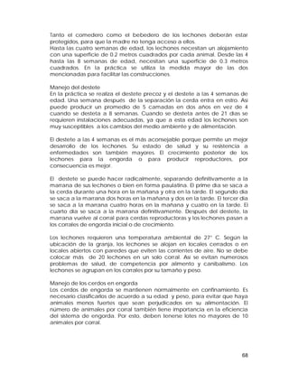 Tanto el comedero como el bebedero de los lechones deberán estar 
protegidos, para que la madre no tenga acceso a ellos. 
Hasta las cuatro semanas de edad, los lechones necesitan un alojamiento 
con una superficie de 0.2 metros cuadrados por cada animal. Desde las 4 
hasta las 8 semanas de edad, necesitan una superficie de 0.3 metros 
cuadrados. En la práctica se utiliza la medida mayor de las dos 
mencionadas para facilitar las construcciones. 
Manejo del destete 
En la práctica se realiza el destete precoz y el destete a las 4 semanas de 
edad. Una semana después de la separación la cerda entra en estro. Así 
puede producir un promedio de 5 camadas en dos años en vez de 4 
cuando se desteta a 8 semanas. Cuando se desteta antes de 21 días se 
requieren instalaciones adecuadas, ya que a esta edad los lechones son 
muy susceptibles a los cambios del medio ambiente y de alimentación. 
El destete a las 4 semanas es el más aconsejable porque permite un mejor 
desarrollo de los lechones. Su estado de salud y su resistencia a 
enfermedades son también mayores. El crecimiento posterior de los 
lechones para la engorda o para producir reproductores, por 
consecuencia es mejor. 
El destete se puede hacer radicalmente, separando definitivamente a la 
marrana de sus lechones o bien en forma paulatina. El prime día se saca a 
la cerda durante una hora en la mañana y otra en la tarde. El segundo día 
se saca a la marrana dos horas en la mañana y dos en la tarde. El tercer día 
se saca a la marrana cuatro horas en la mañana y cuatro en la tarde. El 
cuarto día se saca a la marrana definitivamente. Después del destete, la 
marrana vuelve al corral para cerdas reproductoras y los lechones pasan a 
los corrales de engorda inicial o de crecimiento. 
Los lechones requieren una temperatura ambiental de 27° C. Según la 
ubicación de la granja, los lechones se alojan en locales cerrados o en 
locales abiertos con paredes que eviten las corrientes de aire. No se debe 
colocar más de 20 lechones en un solo corral. Así se evitan numerosos 
problemas de salud, de competencia por alimento y canibalismo. Los 
lechones se agrupan en los corrales por su tamaño y peso. 
Manejo de los cerdos en engorda 
Los cerdos de engorda se mantienen normalmente en confinamiento. Es 
necesario clasificarlos de acuerdo a su edad y peso, para evitar que haya 
animales menos fuertes que sean perjudicados en su alimentación. El 
número de animales por corral también tiene importancia en la eficiencia 
del sistema de engorda. Por esto, deben tenerse lotes no mayores de 10 
animales por corral. 
68 
 
