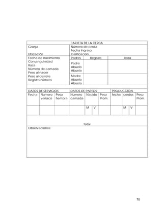 70 
TARJETA DE LA CERDA 
Granja 
Ubicación 
Número de cerda 
Fecha Ingreso 
Calificación 
Padres Registro Raza 
Padre 
Abuelo 
Abuela 
Fecha de nacimiento 
Consanguinidad 
Raza 
Número de camada 
Peso al nacer 
Peso al destete 
Registro número 
Madre 
Abuelo 
Abuela 
DATOS DE SERVICIOS DATOS DE PARTOS PRODUCCION 
Fecha Numero 
verraco 
Peso 
hembra 
Numero 
camada 
Nacido Peso 
Prom. 
fecha cerdos Peso 
Prom. 
M V M V 
Total 
Observaciones: 
 