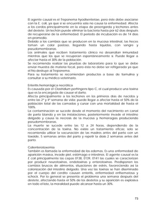 El agente causal es el Treponema hyodisenteriae, pero éste debe asociarse 
con la E. coli, ya que si se encuentra sola no causa la enfermedad. Afecta 
a los cerdos principalmente en la etapa de preengorda y lechones antes 
del destete. Un lechón puede eliminar la bacteria hasta por 62 días después 
de recuperarse de la enfermedad. El periodo de incubación es de 14 días 
en promedio. 
Debido a los cambios que se producen en la mucosa intestinal, las heces 
toman un color pastoso, llegando hasta líquidas, con sangre y 
pseudomembranas. 
Los animales que reciben tratamiento clínico no desarrollan inmunidad 
mientras que los que se recuperan espontáneamente sí. Puede llegar a 
afectar hasta el 30% de la población. 
Se recomienda realizar las pruebas de laboratorio para lo que se debe 
enviar muestra de materia fecal, pero ésta no debe ser refrigerada ya que 
el frío destruye al Treponema. 
Para su tratamiento se recomiendan productos a base de tiamulina y 
consultar a su médico veterinario. 
Enteritis hemorrágica necrótica 
Es causada por el Clostridium perfringens tipo C, el cual produce una toxina 
que es la encargada de causar el daño. 
Afecta principalmente a los lechones en los primeros días de nacidos y 
entre las 2ª y 4ª semana de vida; puede llegar a afectar hasta el 50% de la 
población total de las camadas y cursar con una mortalidad de hasta el 
100%. 
La contaminación se sucede desde el momento del nacimiento en canal 
de parto blando y en las instalaciones, posteriormente invade el intestino 
delgado y causa la necrosis de la mucosa y hemorragias produciendo 
pseudomembranas. 
La muerte se sucede entre las 12 a 24 horas, dependiendo de la 
concentración de la toxina. No existe un tratamiento eficaz, solo se 
recomienda utilizar la vacunación de las madres antes del parto con un 
toxoide, 5 semanas antes del parto y repetir la dosis 2 semanas antes del 
parto. 
Colienterotoxemia 
También es llamada la enfermedad de los edemas. Es una enfermedad de 
aparición masiva, invade piel, estómago e intestinos. El agente causal es la 
E coli principalmente las cepas 0138, 0139, 0141 las cuales se caracterizan 
por producir neurotoxinas, endotoxinas y enterotoxinas. Predisponen los 
cambios bruscos de alimentos, situaciones de estrés, favoreciendo así la 
colonización del intestino delgado. Una vez las toxinas se han diseminado 
por el cuerpo del cerdito causan enteritis, enfermedad enfisematosa y 
schock. Por lo general se presenta el problema una semana después del 
destete, afectando hasta el 50% de los destetos y su aparición es explosiva 
en todo el lote, la moralidad puede alcanzar hasta un 30%. 
73 
 