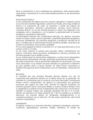 Para su tratamiento se han empleado las quinolonas, sulfas potenciadas, 
tetraciclinas, cloranfenicol. Es una enfermedad zoonótica y de declaración 
obligatoria. 
Peste Porcina Clásica 
Es una septicemia de origen viral y de carácter epizoótico. El agente causal 
es un virus de la familia Togaviridae, resistente al medio, pero muy sensible al 
formol y al carbonato de soda. Se transmite a través del ingreso de 
animales portadores, alimento contaminado, vectores como insectos, 
contacto directo. La vía de entrada puede ser nasal, oral, llegando a las 
amígdalas, allí se reproduce y va al pulmón y posteriormente al torrente 
sanguíneo causando la septicemia. 
Los principales síntomas son: temperatura elevada, tos, diarrea, manchas 
azules en orejas, vientre, pecho y perniles, conjuntivitis (párpados pegados y 
secreción amarillenta), las manchas progresan y producen necrosis de la 
piel, a medida que la enfermedad avanza produce parálisis, anorexia y los 
cerdos se amontonan, hay cianosis y polidixia. 
En los casos agudos la muerte se sucede en 3 a 4 días post-infección y en la 
crónica entre 5 a 15 días. 
En los casos crónicos el animal está decaído, fiebre, estreñimiento y/o 
diarrea, neumonía, daño locomotor, infertilidad en machos y hembras, los 
lechones pueden nacer débiles y morir. 
Es una enfermedad de declaración obligatoria, se debe hacer diagnóstico 
diferencial de salmonelosis, mal rojo, pasterella, peste porcina africana. 
No existe tratamiento, solo la prevención utilizando la vacunación con virus 
vivos atenuados, no se deben vacunar animales en gestación ni enfermos 
ya que pueden morir y causar abortos. Se debe hacer cuarentena y 
desinfección general de las instalaciones con cal hidratada, carbonato de 
soda. 
Brucelosis 
Es causada por una bacteria llamada Brucela abortus var. suis. Se 
caracteriza por presentar abortos en el último tercio de la gestación; los 
animales se contaminan por el contacto con fetos infectados, membranas 
fetales, semen contaminado. Los abortos se caracterizan por presentar 
secreción por vagina de color café, momias en algunas ocasiones, los 
lechones pueden nacer vivos pero débiles y mueren al poco tiempo. Para 
su diagnóstico se deben enviar al laboratorio fetos, placenta o secreciones; 
también se puede realizar una serología alrededor del día 12 a 15 post-aborto; 
los animales con títulos positivos de 1:100 son positivos y se deben 
descartar. Los machos deben ser analizados serologicamente y se 
consideran positivos con un título de 1:25. No existe tratamiento, solo el fusil 
sanitario a los positivos. 
Leptospirosis 
El agente causal es la bacteria llamada Leptospira interrogans serovares: 
cannicola, gripothiphosa, pomona, hadrjo, bratislava. El medio de 
76 
 