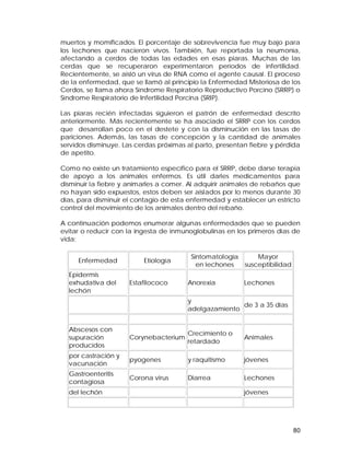 muertos y momificados. El porcentaje de sobrevivencia fue muy bajo para 
los lechones que nacieron vivos. También, fue reportada la neumonía, 
afectando a cerdos de todas las edades en esas piaras. Muchas de las 
cerdas que se recuperaron experimentaron períodos de infertilidad. 
Recientemente, se aisló un virus de RNA como el agente causal. El proceso 
de la enfermedad, que se llamó al principio la Enfermedad Misteriosa de los 
Cerdos, se llama ahora Síndrome Respiratorio Reproductivo Porcino (SRRP) o 
Síndrome Respiratorio de Infertilidad Porcina (SRIP). 
Las piaras recién infectadas siguieron el patrón de enfermedad descrito 
anteriormente. Más recientemente se ha asociado el SRRP con los cerdos 
que desarrollan poco en el destete y con la disminución en las tasas de 
pariciones. Además, las tasas de concepción y la cantidad de animales 
servidos disminuye. Las cerdas próximas al parto, presentan fiebre y pérdida 
de apetito. 
Como no existe un tratamiento específico para el SRRP, debe darse terapia 
de apoyo a los animales enfermos. Es útil darles medicamentos para 
disminuir la fiebre y animarles a comer. Al adquirir animales de rebaños que 
no hayan sido expuestos, estos deben ser aislados por lo menos durante 30 
días, para disminuir el contagio de esta enfermedad y establecer un estricto 
control del movimiento de los animales dentro del rebaño. 
A continuación podemos enumerar algunas enfermedades que se pueden 
evitar o reducir con la ingesta de inmunoglobulinas en los primeros días de 
vida: 
80 
Enfermedad Etiología Sintomatología 
en lechones 
Mayor 
susceptibilidad 
Epidermis 
exhudativa del 
lechón 
Estafilococo Anorexia Lechones 
y 
adelgazamiento de 3 a 35 días 
Abscesos con 
supuración 
producidos 
Corynebacterium Crecimiento o 
retardado Animales 
por castración y 
vacunación pyogenes y raquitismo jóvenes 
Gastroenteritis 
contagiosa Corona virus Diarrea Lechones 
del lechón jóvenes 
 