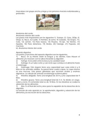 musculosa con grupa ancha y larga y con jamones macizos redondeados y 
profundos. 
Anatomía del cerdo 
Anatomía exterior del cerdo 
Las partes más importantes son las siguientes:1). Trompa, 2). Cara, 3)Ojo, 4). 
Oreja, 5). Nuca, 6) Cuello, 7) Hombro, 8) Lomo, 9) Costado, 10) Grupa, 11). 
Cola, 12) Jamón, 13) Pata trasera, 14) Pezuña, 15) Ijar, 16) Vientre, 17) 
Espalda, 18) Pata delantera, 19) Dedos, 20) Falange, 21) Papada, 22) 
Cachete. 
b). Anatomía interior del cerdo 
Aparato digestivo 
Las partes y funciones del aparato digestivo son las siguientes: 
1) Boca. En su interior están la lengua y los dientes. Estos trituran el 
alimento y lo mezclan con la saliva iniciando su digestión. 
2) Faringe. Es la unión entre la boca y la cavidad nasal 
3) Esófago. Es un tubo corto y casi recto que conduce el alimento hasta 
el estómago. 
4) Estómago. Este órgano tiene una capacidad que varía entre 6 y 8 
litros en los animales adultos. Su pared tiene cuatro capas, la capa interna 
es una mucosa. Esta posee glándulas que secretan ácidos y enzimas 
digestivas. La válvula de entrada al estómago se llama píloro. 
5) Intestino delgado. Tiene una longitud de 20 m y una capacidad de 9 
litros. 
6) Intestino grueso. Tiene una longitud total de 5 m. Se divide en ciego, 
colon y recto. El contenido total es de 10 litros. En los intestinos se realiza la 
absorción de los alimentos. 
7) Ano. Es el final del recto y sirve para la expulsión de los desechos de la 
digestión. 
La función de este aparato es la aprehensión, digestión y absorción de los 
alimentos y la excreción de los desechos. 
8 
 
