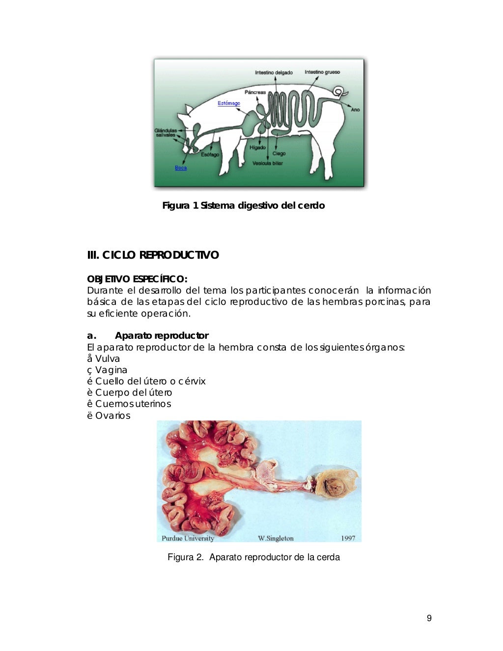 14960672 Manual de produccion cerdos