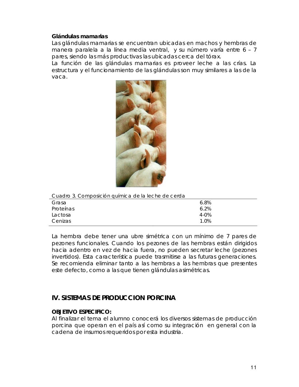 14960672 Manual de produccion cerdos