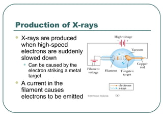 Production of X-rays
 X-rays are produced
when high-speed
electrons are suddenly
slowed down
• Can be caused by the
electron striking a metal
target
 A current in the
filament causes
electrons to be emitted
 