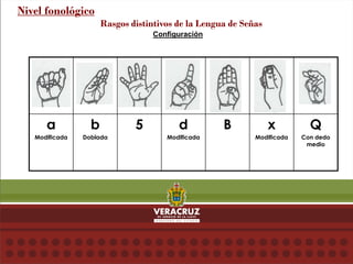 Configuración
Nivel fonológico
Rasgos distintivos de la Lengua de Señas
a
Modificada
b
Doblada
5 d
Modificada
B x
Modificada
Q
Con dedo
medio
 