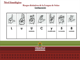 Configuración
Nivel fonológico
Rasgos distintivos de la Lengua de Señas
L u U
doblada
C y
modificada
5
curveada
8
ventada
 