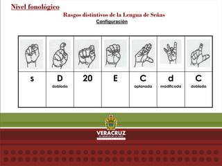 Configuración
Nivel fonológico
Rasgos distintivos de la Lengua de Señas
s D
doblada
20 E C
aplanada
d
modificada
C
doblada
 