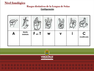 Configuración
Nivel fonológico
Rasgos distintivos de la Lengua de Señas
A
Medio
doblado F en T w v i C
modificada
 