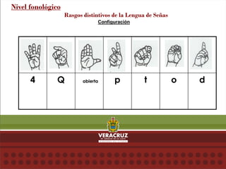 Configuración
Nivel fonológico
Rasgos distintivos de la Lengua de Señas
4 Q abierta p t o d
 