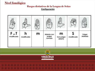 Configuración
Nivel fonológico
Rasgos distintivos de la Lengua de Señas
F en T
modificada
h
modificada
m Abierta con
pulgar
cerrado
m
Con pulgar
abierto
S
modificada
Pulgar
doblado
 