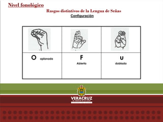 Configuración
Nivel fonológico
Rasgos distintivos de la Lengua de Señas
O aplanada F
Abierta
u
doblada
 