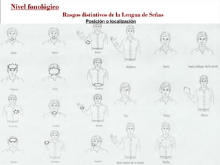 Posición o localización
Nivel fonológico
Rasgos distintivos de la Lengua de Señas
 