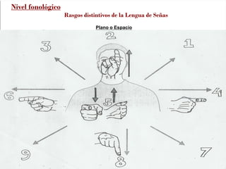 Plano o Espacio
Nivel fonológico
Rasgos distintivos de la Lengua de Señas
 