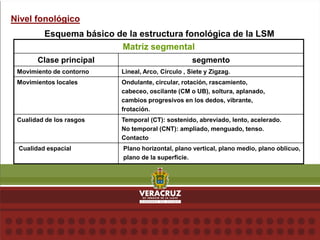 Nivel fonológico
Esquema básico de la estructura fonológica de la LSM
Matriz segmental
Clase principal segmento
Movimiento de contorno Lineal, Arco, Círculo , Siete y Zigzag.
Movimientos locales Ondulante, circular, rotación, rascamiento,
cabeceo, oscilante (CM o UB), soltura, aplanado,
cambios progresivos en los dedos, vibrante,
frotación.
Cualidad de los rasgos Temporal (CT): sostenido, abreviado, lento, acelerado.
No temporal (CNT): ampliado, menguado, tenso.
Contacto
Cualidad espacial Plano horizontal, plano vertical, plano medio, plano oblicuo,
plano de la superficie.
 