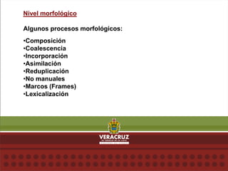 Nivel morfológico
Algunos procesos morfológicos:
•Composición
•Coalescencia
•Incorporación
•Asimilación
•Reduplicación
•No manuales
•Marcos (Frames)
•Lexicalización
 