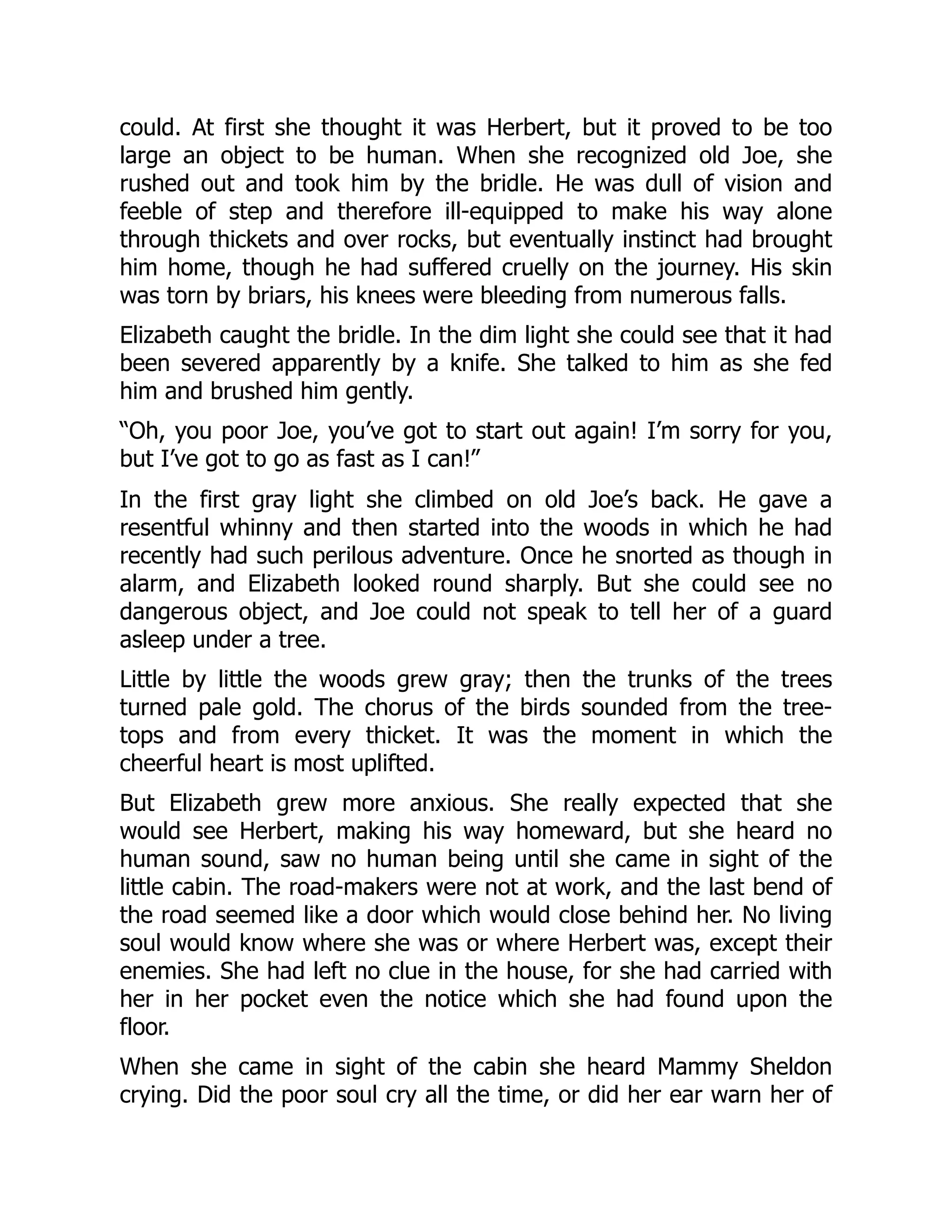 could. At first she thought it was Herbert, but it proved to be too
large an object to be human. When she recognized old Joe, she
rushed out and took him by the bridle. He was dull of vision and
feeble of step and therefore ill-equipped to make his way alone
through thickets and over rocks, but eventually instinct had brought
him home, though he had suffered cruelly on the journey. His skin
was torn by briars, his knees were bleeding from numerous falls.
Elizabeth caught the bridle. In the dim light she could see that it had
been severed apparently by a knife. She talked to him as she fed
him and brushed him gently.
“Oh, you poor Joe, you’ve got to start out again! I’m sorry for you,
but I’ve got to go as fast as I can!”
In the first gray light she climbed on old Joe’s back. He gave a
resentful whinny and then started into the woods in which he had
recently had such perilous adventure. Once he snorted as though in
alarm, and Elizabeth looked round sharply. But she could see no
dangerous object, and Joe could not speak to tell her of a guard
asleep under a tree.
Little by little the woods grew gray; then the trunks of the trees
turned pale gold. The chorus of the birds sounded from the tree-
tops and from every thicket. It was the moment in which the
cheerful heart is most uplifted.
But Elizabeth grew more anxious. She really expected that she
would see Herbert, making his way homeward, but she heard no
human sound, saw no human being until she came in sight of the
little cabin. The road-makers were not at work, and the last bend of
the road seemed like a door which would close behind her. No living
soul would know where she was or where Herbert was, except their
enemies. She had left no clue in the house, for she had carried with
her in her pocket even the notice which she had found upon the
floor.
When she came in sight of the cabin she heard Mammy Sheldon
crying. Did the poor soul cry all the time, or did her ear warn her of
 