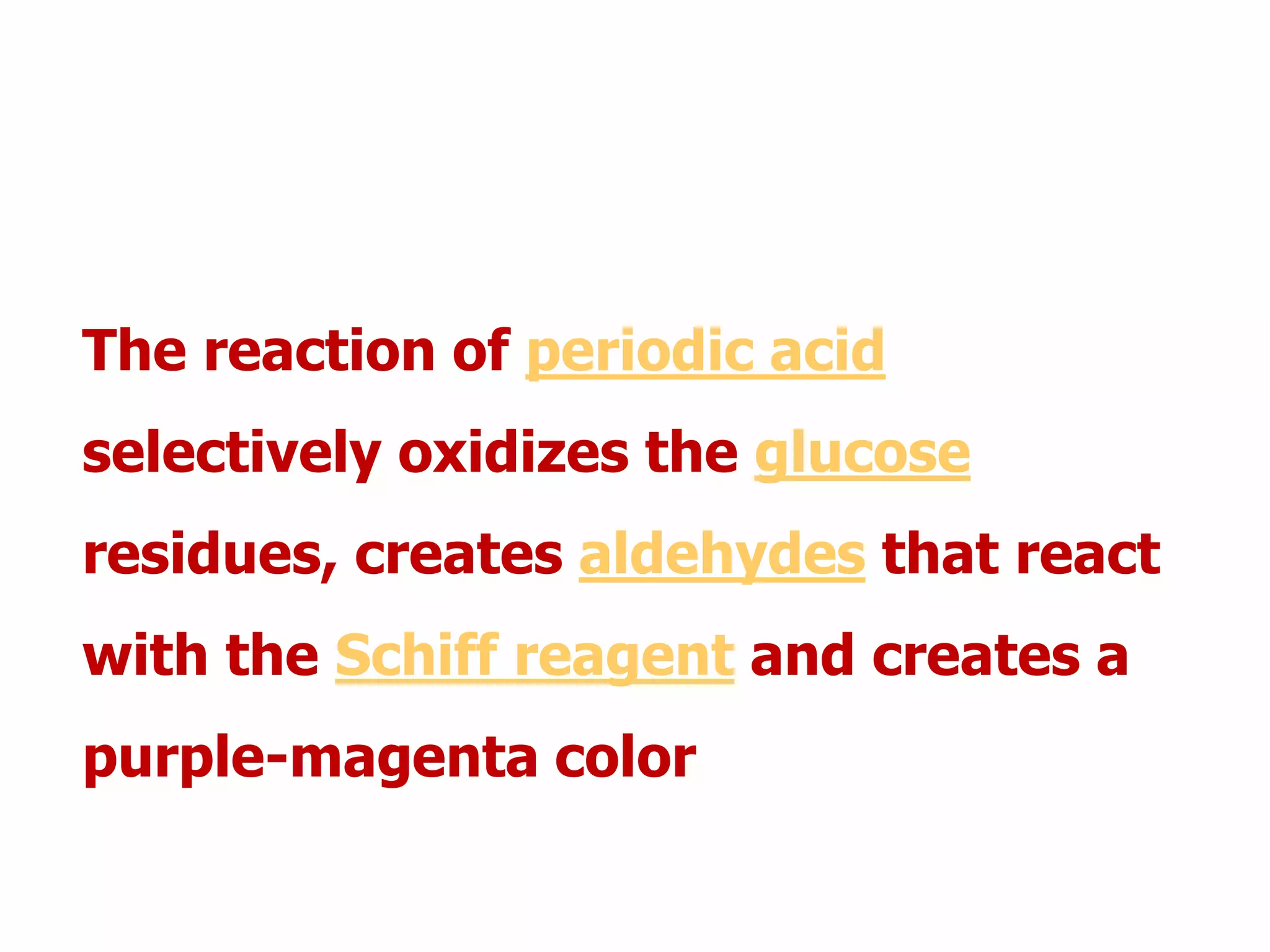 The reaction of periodic acid
selectively oxidizes the glucose
residues, creates aldehydes that react
with the Schiff reagent and creates a
purple-magenta color
 