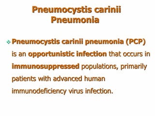 Pneumocystis carinii
Pneumonia
 Pneumocystis carinii pneumonia (PCP)
is an opportunistic infection that occurs in
immunosuppressed populations, primarily
patients with advanced human
immunodeficiency virus infection.
 