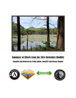 Summary of Efforts from the 2014 Berkshire BioBlitz
Compiled and Reported by Collin Adkins, MassLIFT-AmeriCorps Member
Photo Credit: Collin Adkins 
 