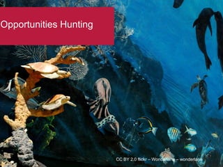 Opportunities Hunting
CC BY 2.0 flickr – Wonderlane – wonderlane
 