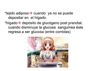 *tejido adiposo cuando ya no se puede
depositar en el hígado.
*hígado depósito de glucógeno post prandial,
cuando disminuye la glucosa sanguínea éste
regresa a ser glucosa (entre comidas)
 