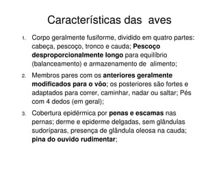 Características das aves
1. Corpo geralmente fusiforme, dividido em quatro partes:
cabeça, pescoço, tronco e cauda; Pescoço
desproporcionalmente longo para equilíbrio
(balanceamento) e armazenamento de alimento;
2. Membros pares com os anteriores geralmente
modificados para o vôo; os posteriores são fortes e
adaptados para correr, caminhar, nadar ou saltar; Pés
com 4 dedos (em geral);
3. Cobertura epidérmica por penas e escamas nas
pernas; derme e epiderme delgadas, sem glândulas
sudoríparas, presença de glândula oleosa na cauda;
pina do ouvido rudimentar;
 