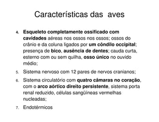 Características das aves
4. Esqueleto completamente ossificado com
cavidades aéreas nos ossos nos ossos; ossos do
crânio e da coluna ligados por um côndilo occipital;
presença de bico, ausência de dentes; cauda curta,
esterno com ou sem quilha, osso único no ouvido
médio;
5. Sistema nervoso com 12 pares de nervos cranianos;
6. Sistema circulatório com quatro câmaras no coração,
com o arco aórtico direito persistente, sistema porta
renal reduzido, células sangüíneas vermelhas
nucleadas;
7. Endotérmicos
 
