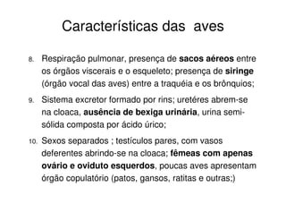 Características das aves
8. Respiração pulmonar, presença de sacos aéreos entre
os órgãos viscerais e o esqueleto; presença de siringe
(órgão vocal das aves) entre a traquéia e os brônquios;
9. Sistema excretor formado por rins; uretéres abrem-se
na cloaca, ausência de bexiga urinária, urina semi-
sólida composta por ácido úrico;
10. Sexos separados ; testículos pares, com vasos
deferentes abrindo-se na cloaca; fêmeas com apenas
ovário e oviduto esquerdos, poucas aves apresentam
órgão copulatório (patos, gansos, ratitas e outras;)
 