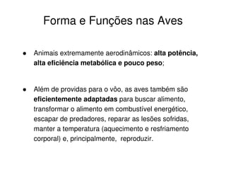 Forma e Funções nas Aves
Animais extremamente aerodinâmicos: alta potência,
alta eficiência metabólica e pouco peso;
Além de providas para o vôo, as aves também são
eficientemente adaptadas para buscar alimento,
transformar o alimento em combustível energético,
escapar de predadores, reparar as lesões sofridas,
manter a temperatura (aquecimento e resfriamento
corporal) e, principalmente, reproduzir.
 