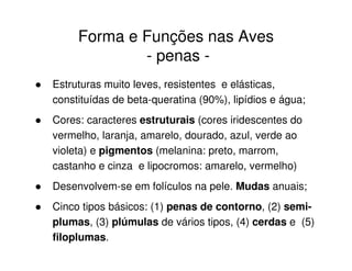 Forma e Funções nas Aves
- penas -
Estruturas muito leves, resistentes e elásticas,
constituídas de beta-queratina (90%), lipídios e água;
Cores: caracteres estruturais (cores iridescentes do
vermelho, laranja, amarelo, dourado, azul, verde ao
violeta) e pigmentos (melanina: preto, marrom,
castanho e cinza e lipocromos: amarelo, vermelho)
Desenvolvem-se em folículos na pele. Mudas anuais;
Cinco tipos básicos: (1) penas de contorno, (2) semi-
plumas, (3) plúmulas de vários tipos, (4) cerdas e (5)
filoplumas.
 