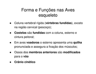 Forma e Funções nas Aves
esqueleto
Coluna vertebral rígida (vértebras fundidas), exceto
na região cervical (pescoço);
Costelas são fundidas com a coluna, esterno e
cintura peitoral;
Em aves voadoras o esterno apresenta uma quilha
pronunciada e assegura a fixação dos músculos;
Ossos dos membros anteriores são modificados
para o vôo
Crânio cinético
 